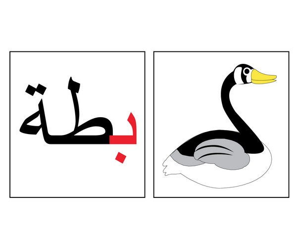  بطاقات كلمات عربي 
