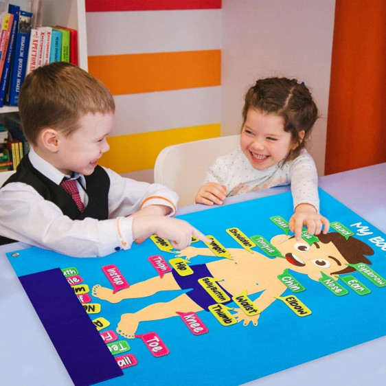 لوحة فلين جسم الانسان