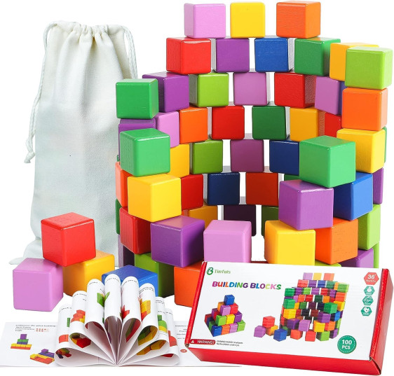 BUILDING BLOCKS 100 PCS