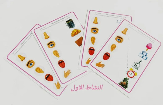 حواسي - 7 أنشطة مختلفة