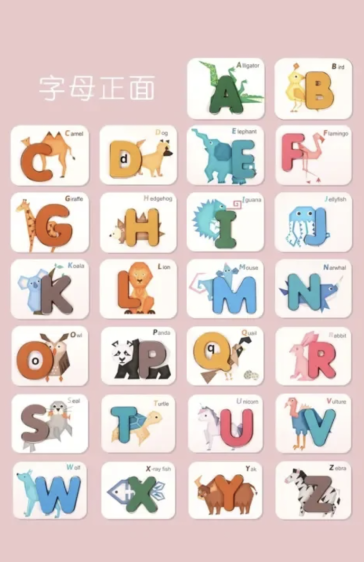 بطاقات مطابقة الحروف والأرقام Alphabet & Number Matching Cards